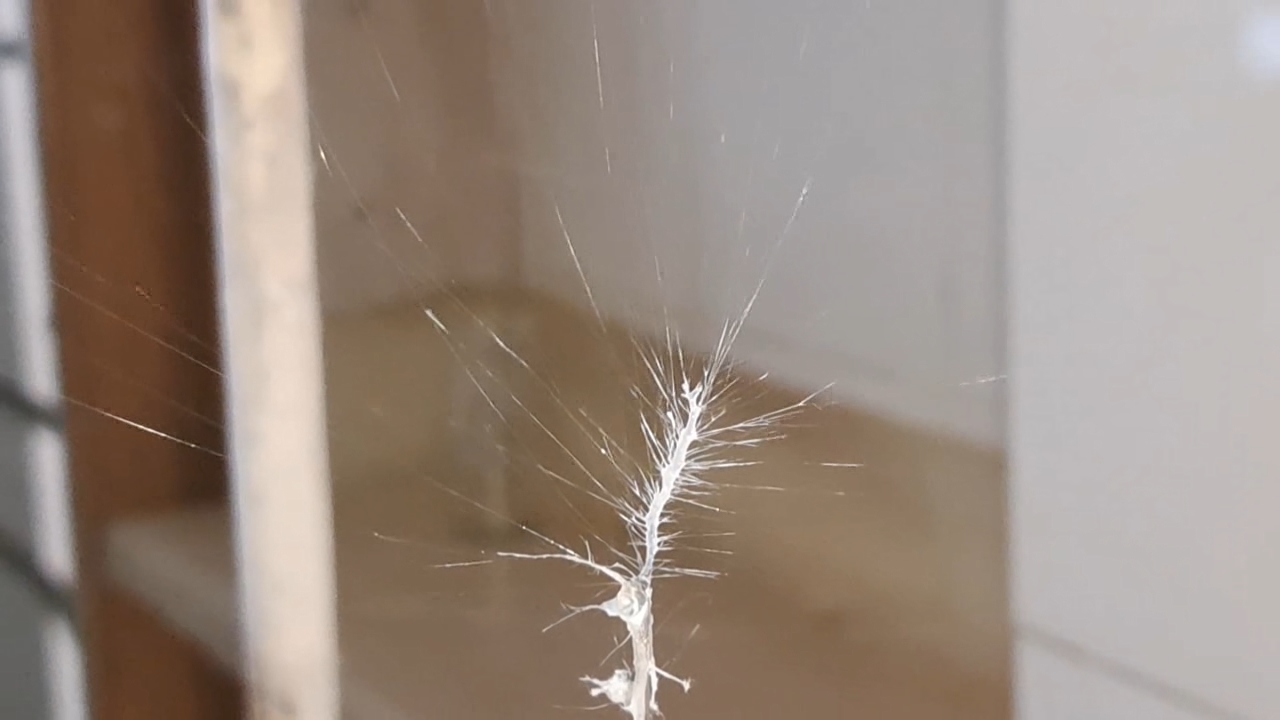 Electrospinning: Solution of Polystyrene in Methylene Chloride